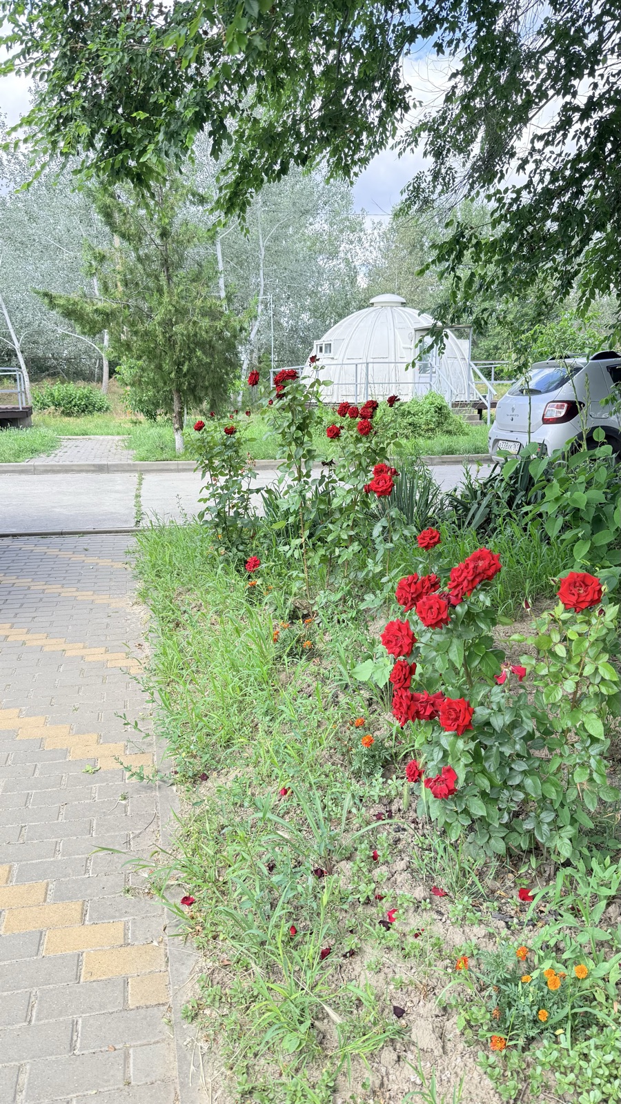 Бунгало VIP